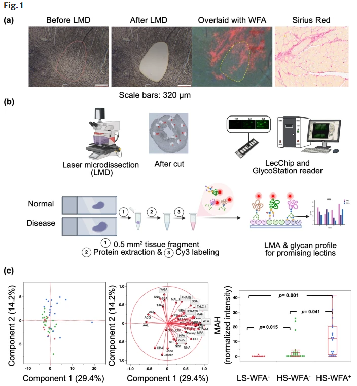 論文紹介（@SPRINGER NATURE Link）