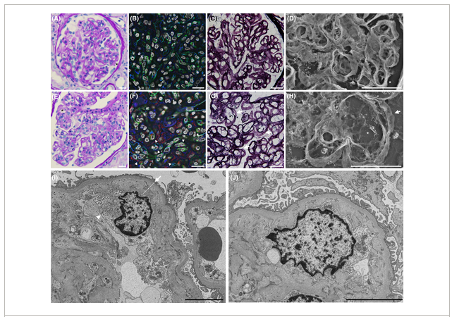 論文紹介（@Wiley Online Library）